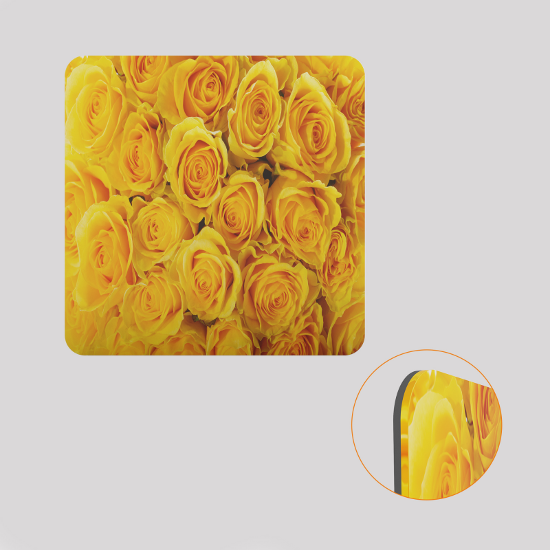 Voile de fond décoratif pour cube-étagère, motif roses jaunes