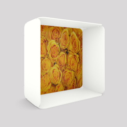Cube-étagère en acier, blanc avec son voile de fond roses jaunes