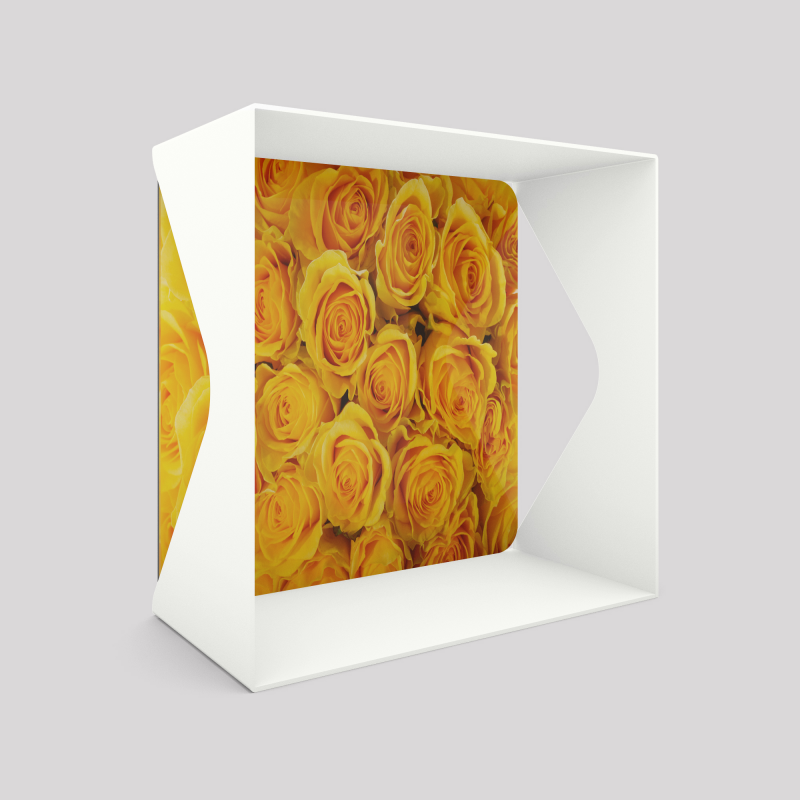 Cube-étagère échancré en acier, blanc avec son voile de fond roses jaunes