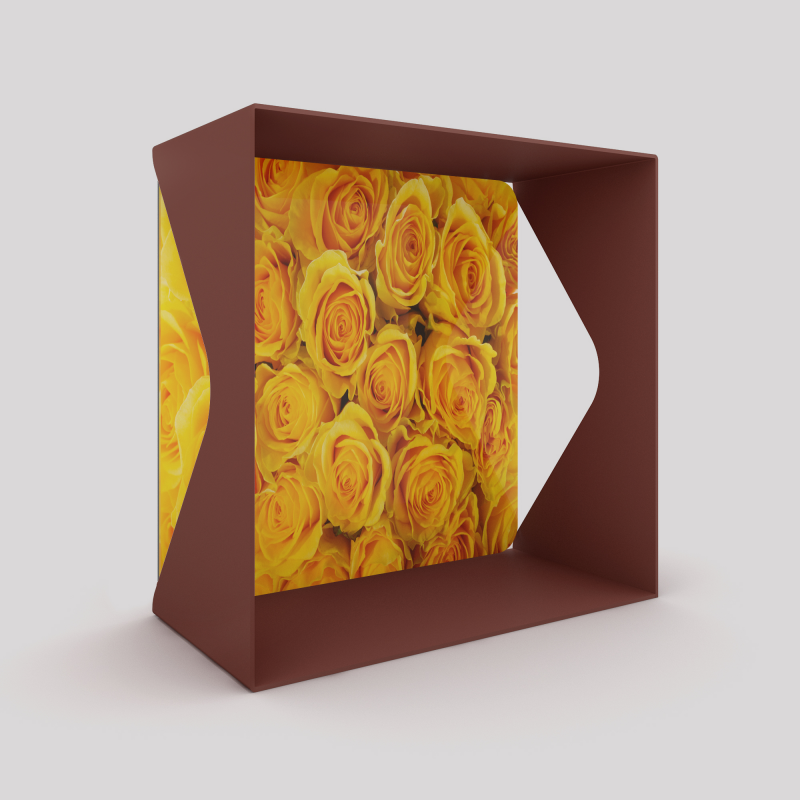 Cube-étagère échancré en acier, red brown métallisé avec son voile de fond roses jaunes