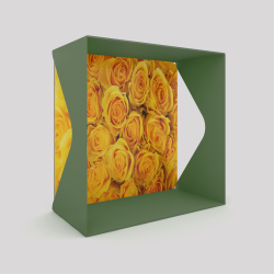 Cube-étagère échancré en acier, vert avec son voile de fond roses jaunes